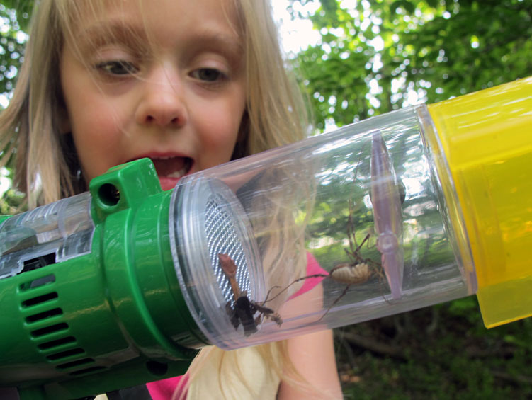 review of backyard safari bug vacuum