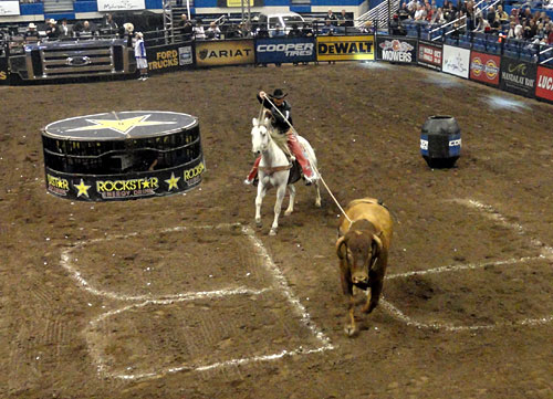 how much does a professional bull rider make